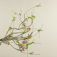 37" PINK BOXWOOD & WILDFLOWER VINE SPRAY
