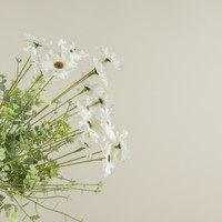 18" WHITE COSMOS BUSH