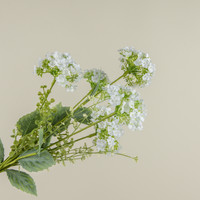 20" WHITE WILD HYDRANGEA BUSH