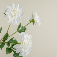 25.5" WHITE DAHLIA SPRAY