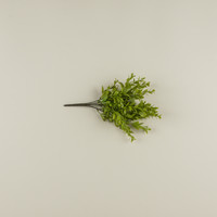 14" RUSCUS LEAF BUSH