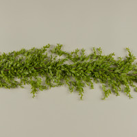6' RUSCUS LEAF GARLAND