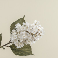 32.5" WHITE LILAC STEM