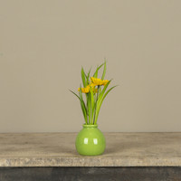 7" YELLOW DAISY IN GREEN POT