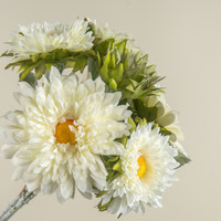 16.75" CREAM GARDEN MUM BUNDLE