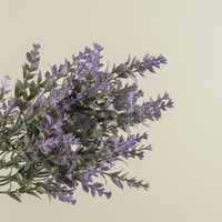 13.75" DUSTY LAVENDER SPRAY