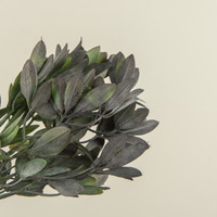 13.75" PURPLE TIPPED LEAF BUSH