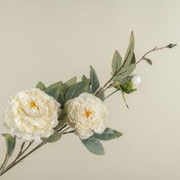34.5" CREAM PEONY SPRAY