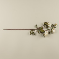 27.25" CREAM DRIED ROSE SPRAY