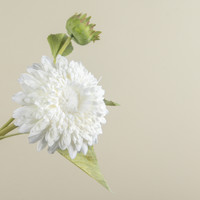 18.25" WHITE SUNFLOWER SPRAY