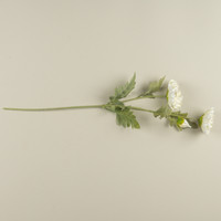 27" CREAM POPPY SPRAY
