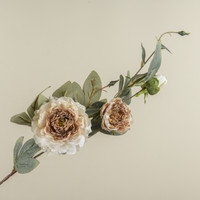 35" CREAM & BROWN PEONY STEM