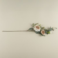 35" CREAM & BROWN PEONY STEM