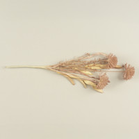 20.5" ROSEWOOD WILD LEEK SPRAY