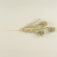 20.5" FERNWOOD WILD LEEK SPRAY