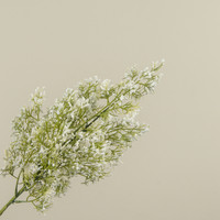 22" WHITE MOUNTAIN MINT SPRAY