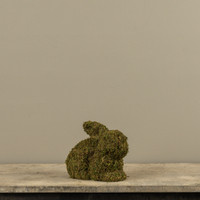 7.25" SITTING MOSS BUNNY