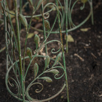SET/ 3 GREEN LEAF TRELLISES*