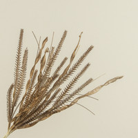 19.5" OLIVE BROWN GRASS SPRAY