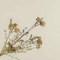 20.5" RUSTIC GREEN WILDFLOWER SPRAY