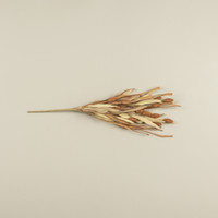 22.75" BROWN POD SPRAY