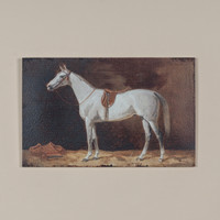 22" AGITHA HORSE PRINT