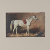 22" ATHENA HORSE PRINT