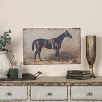 22" MAKO HORSE PRINT