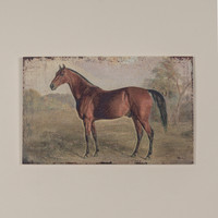 22" HORSE PRINT