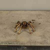 GOLD TARANTULA