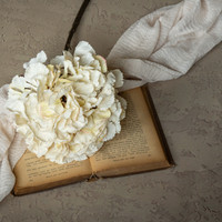 19" CREAM HYDRANGEA SPRAY