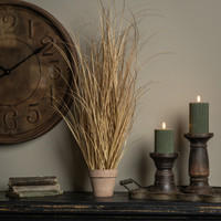 35" TAN GRASS IN POT