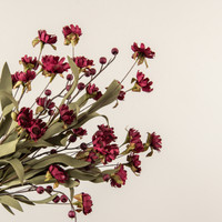 21" BURGUNDY MINI DAISY & BERRY BUSH