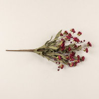 21" BURGUNDY MINI DAISY & BERRY BUSH
