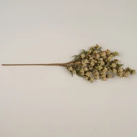 32" CREAM POMPOM SPRAY