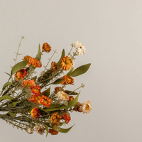 18" CREAM & ORANGE MINI DAISY BUSH