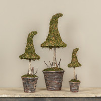 12" POTTED  MOSS WITCH'S HAT