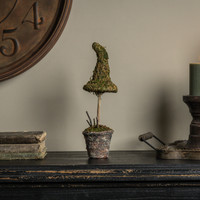 12" POTTED  MOSS WITCH'S HAT
