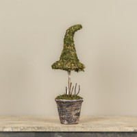 18" POTTED MOSS WITCH'S HAT