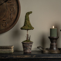 18" POTTED MOSS WITCH'S HAT
