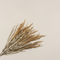 13.5" WHEAT & GRASS BUSH