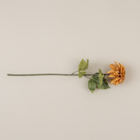 24.5" MUSTARD DAHLIA STEM