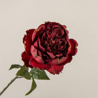 28" BURGUNDY PEONY STEM