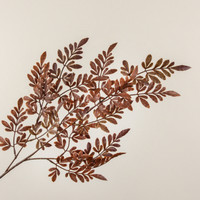 26" BROWN FERN SPRAY