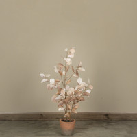 30.75" BROWN EUCALYPTUS TREE