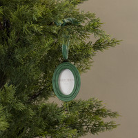 GREEN OVAL FRAME ORNAMENT