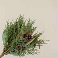 15.5" MAGNOLIA LEAF & MIXED PINECONE BUSH