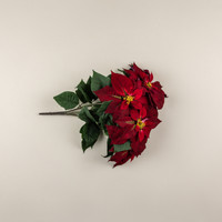 24" BURGUNDY POINSETTIA BUSH