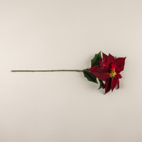 28" BURGUNDY POINSETTIA STEM