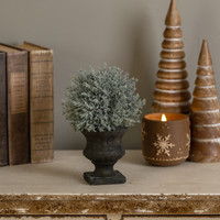 8" PRICKLY PINE BALL IN URN
